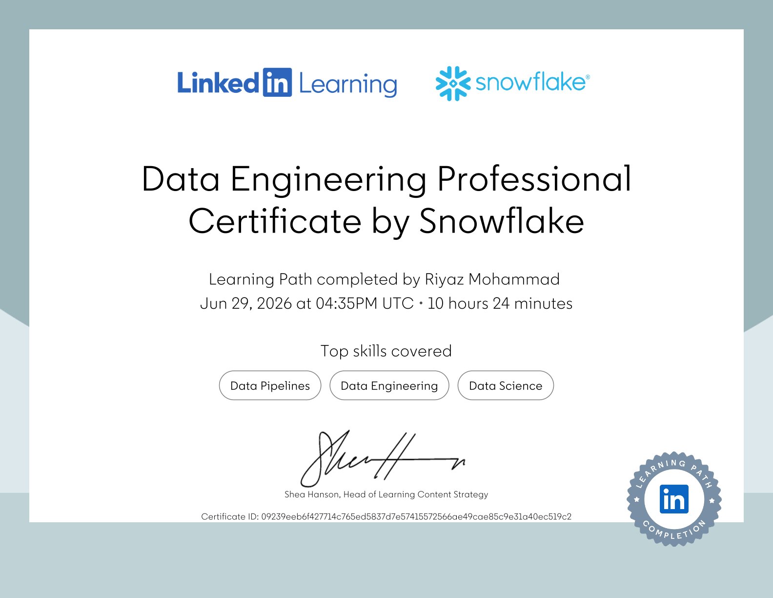 Snowflake Data Eng